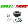 TEKNOETRE KIT CILINDRO COMPLETO PISTONE GUARNIZIONI MALAGUTI CIAK 200 MASTER EU2 2000 2001