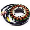 DCM STATORE VOLANO Aprilia ETV Caponord 1000 2001 2002 2003 2004 2005 2006 RESINATO