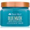 Tree Hut Shea Sugar Scrub Blue Musk 510 g