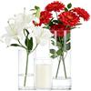 Alitree Set di 3 Vasi Cilindrici in Vetro Borosilicato,Vasi in Vetro per Candele, Rotondo Moderno Caso,Vaso Vetro Trasparente per Composizioni Floreali,Matrimoni e Decorazioni Fai da Te,6,5x15/8,5x20/10x25 cm