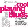 Various Artists Pepper Cake Presents Cool Playing Blues (CD)
