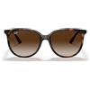 Ray-Ban Occhiali da Sole RB4378 710/13 Marrone/Marrone Unisex 54/16/145