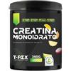 MYLAB NUTRITION Srl T-REX CREATINA MONO TROPIC250G