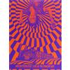 REVERBERATION APPRECIATION SOC Austin Psych Fest: Live at the Power Plant (DVD) Various