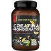 MYLAB NUTRITION Srl T-REX CREATINA MONO TROPIC250G