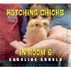 Caroline Arnold Hatching Chicks in Room 6 (Tascabile)