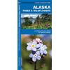 James Kavanagh Waterford Press Alaska Trees & Wildflowers (opuscolo)