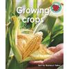 Bronwyn Tainui Growing crops (Tascabile) Red Squirrel Phonics Level 6 Set 2b