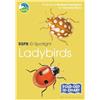 Marianne Taylor RSPB ID Spotlight - Ladybirds (Mixed Media Product) RSPB