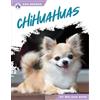 Melissa Ross Chihuahuas (Tascabile) Dog Breeds