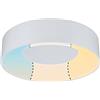 Paulmann Casca 78946 - Plafoniera a LED IP44, 2300 lm, 2300 lm, 16 W, luce bianca, rotonda, dimmerabile, in metallo e plastica, 3000 K