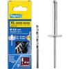 Rapid Scatola da 40 Rivetti in Alluminio XL a Testa Larga da Ø4 x 18 mm, Ampia Superficie di Tenuta, per Fissare Tele, Tessuti, Gomme e Reti, con Punta per il Trapano (5000663)