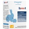 Dynamo r 20 Stick da 2,5 g