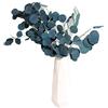Ejoyous Eucalipto Fiori Secchi Fiori Conservati Fiori Eterni Fiori Imperituri Veri, per Decorazione della Casa di Nozze Bouquet Ufficio Sala da Pranzo (BLUE)