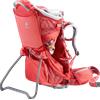 Deuter Kid Comfort Active SL portapacchi, currant,