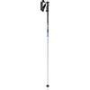 Leki Rental Classic bastoncini da sci da discesa, argento anodizzato naturale/nero,