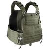Tasmanian Tiger gilet plate carrier QR LC, oliva,