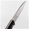 Lionsteel Coltello tipo bushcraft a lama fissa in acciaio Sleipner B35 GBK,