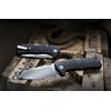 Lionsteel, TM1 MS,