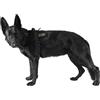 K9 Thorn pettorina Delta, nera,