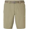 Montane Terra Lite pantaloncini, verde,