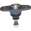 Birth Giunto Di Supporto / Guida Cx0142