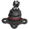 BIRTH Giunto di supporto-guida CX0214