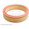 Blue Print Filtro Aria Fiat Doblo,, Punto Adl142223