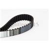 CONTINENTAL CTAM Contitech Cinghia Dentata Ct 1092 Ford Focus 1.6 Tdci Ct1092
