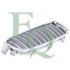 Equal Quality Griglia Dx Bmw Sr3 F30 12> Titanio Crom G2771