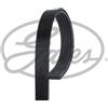 Gates CitroÃ«n Xm (Y3) Xm (Y4) Opel Astra G 2 Volumi /Cod 5Pk1453