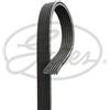 Gates Cinghia Micro V 6Dp2215 6Dpk2215
