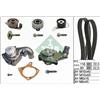 Ina Kit Tendicinghia Con Pompa Acqua Ford - Fiesta Iv 530010431