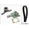 Ina Pompa Acqua + Kit Cinghie Dentate Ford Fiesta Iii 530013330