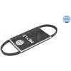 Meyle V-Ribbed Belt 500030675