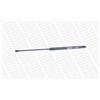 Monroe Ammortizzatori Portellone Ml5197