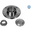 Meyle Mozzo Cuscin Ruota Post Ci Berlingo 11-147500015