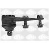 Sasic Testa Sosp B/Osc Re Clio I 4005257