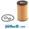 Purflux (W176) - Classe A - B - C,Cla, Cls, E - Viano L509