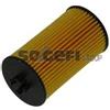 Tecnocar Filtro Olio Fiat Op301