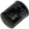 Tecnocar Filtro Olio Ford R287