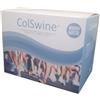 COLSWINE 30BUST - - 939019701