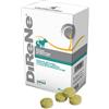 DIRENE 32CPR - - 927235958