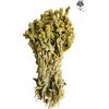 AgoraMarket Tè Greco di Montagna Malotira Sideritis Syriaca 220g - 1,95Kg Giugno 2026