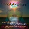 Robb Scott Neptune Atmosphere: You Didn't Feel My Love (Vinyl LP) 12" Single