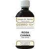 Dr. Giorgini Dr.giorgini Ser-vis Gemmo 10+ Rosa Canina Liquido Analcolico 500 Ml