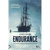 TEA Endurance. L'incredibile viaggio di Shackleton al Polo Sud