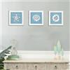 Haofy Decorazione da Parete per Spiaggia in Legno Costiera 3D con Animali Marini, Decorazione Decorativa per la Camera a Tema Oceano per Bagno e Camera da Letto (conchiglia)