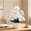 Fairblo 43 cm Orchidea Finta Realistica Bianca Fiori Finti con Vaso Ceramico Orchidee Finte da Interno Orchidea Artificiale in Vaso Fiori Artificiali Decorativi per DecoTavola Matrimonio Uffici