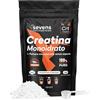 SEVENS NUTRITION Creatina Monoidrato Polvere 500 g - 165 porzioni - Integratore per Sportivi | Creatina Pura Monoidrata Micronizzata - Aumenta le Prestazioni Fisiche - Preworkout - Facile da Sciogliere, Insapore, Vegano